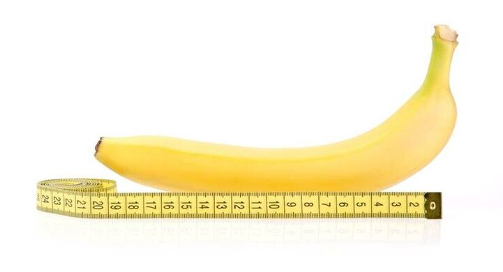 measuring the penis before enlarging on the example of a banana