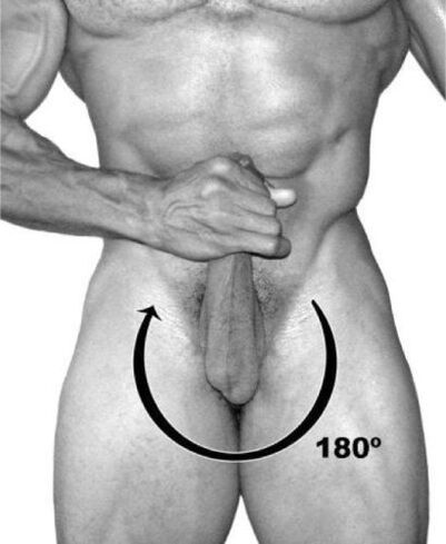 Penis rotation to increase