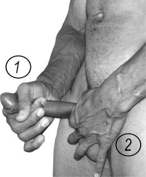 Stretching member to increase